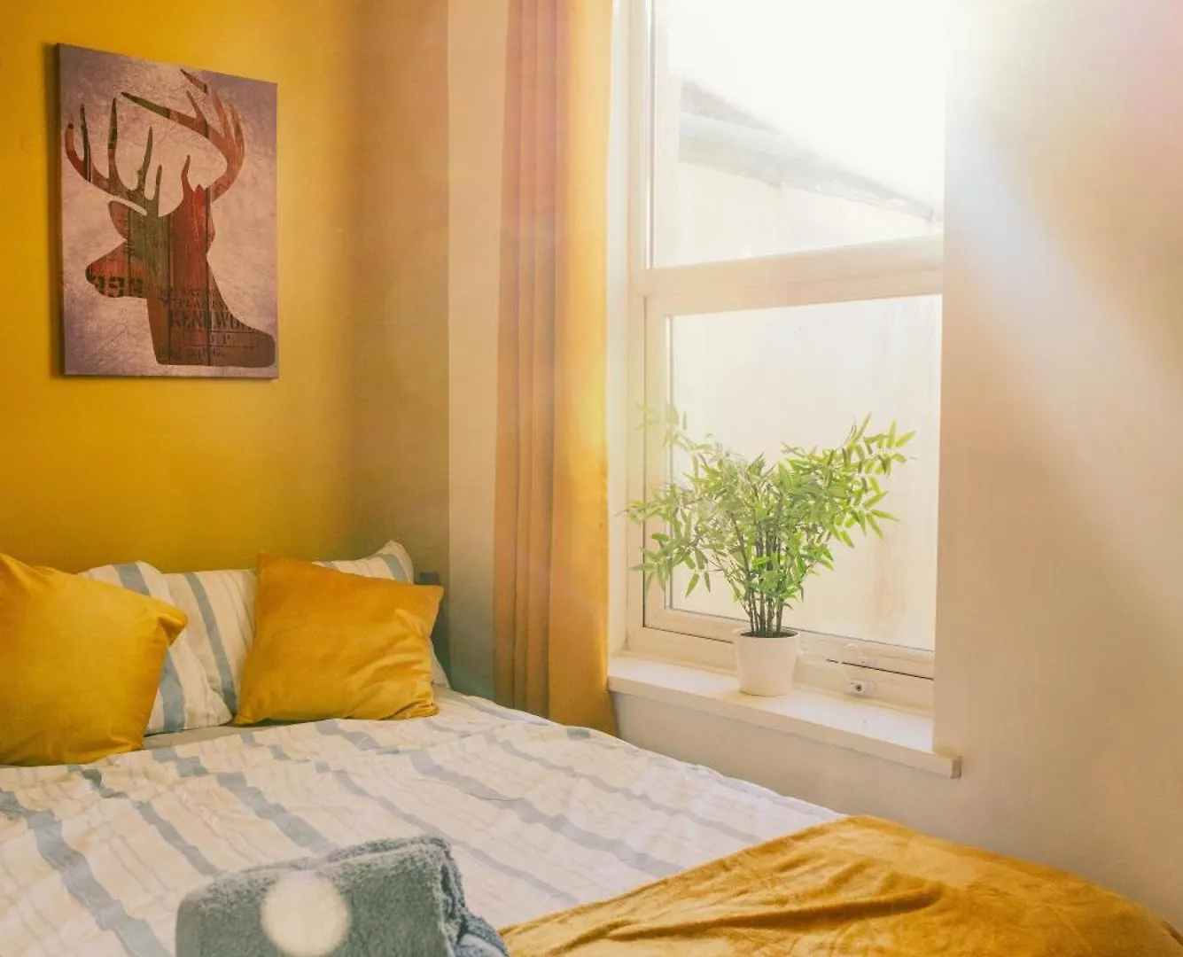 Modern 4 Bed Apartment - Cardiff City Centre - Free Parking 0*,  United Kingdom